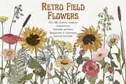 Retro field flowers & sunflowers, a Decorative Illustration by marie dricot (Thumbnail 1 of 10)