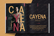 Cayena - Modern Serif, a Serif Font by Astuti Studio (Thumbnail 7 of 25)