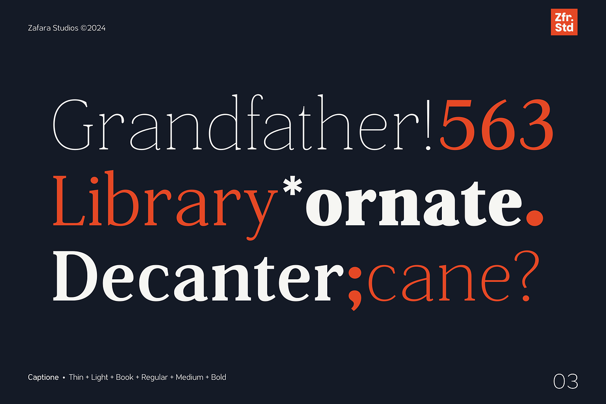 Captione, a Serif Font by Zafara Studios (Photo 3 of 9)