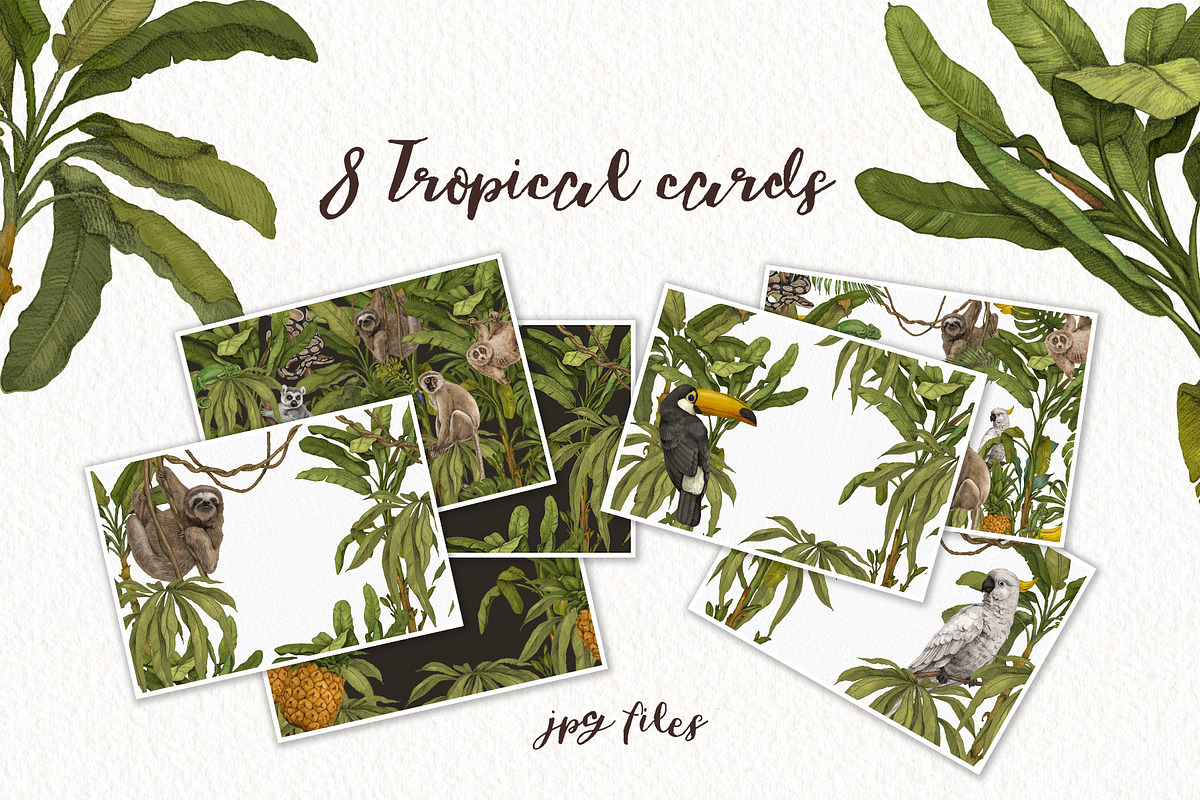 Tropical jungle animals, plants set, an Animal Illustration by Alamella (Photo 4 of 8)