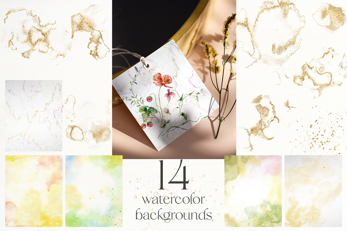 Wildflower poetry watercolor floral, a Decorative Illustration by Yuliya Derbisheva (Photo 12 of 13)
