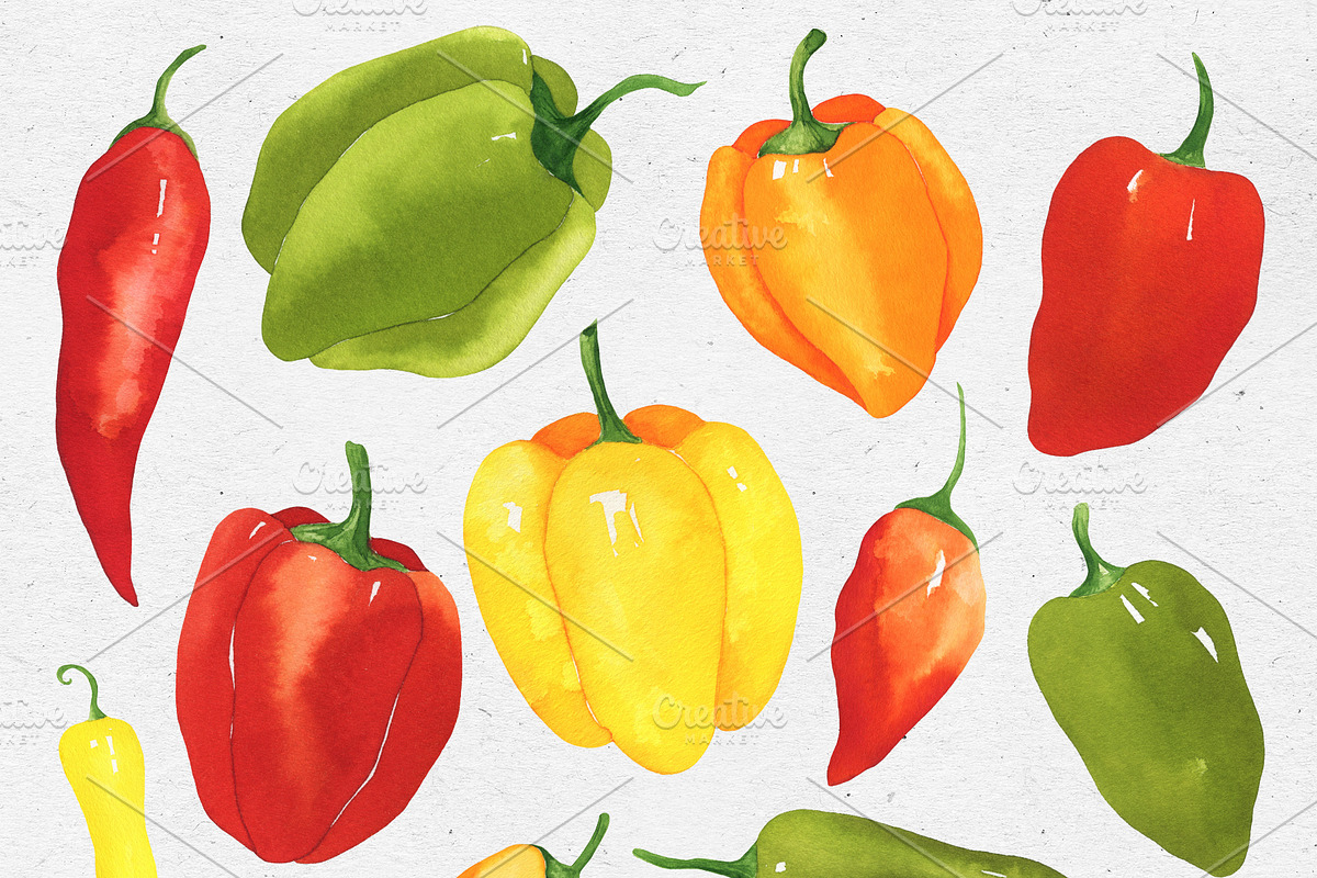 Watercolor peppers, a Food Illustration by Maria's little shop (Photo 4 of 7)