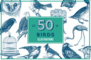 Vintage Illustrations - Free Update, an Animal Illustration by hypegraphic (Thumbnail 6 of 12)