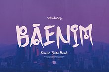 Baenim | Korean Solid Brush