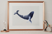 Watercolor whale. Sea underwater set, an Animal Illustration by Julycolor (Thumbnail 2 of 21)