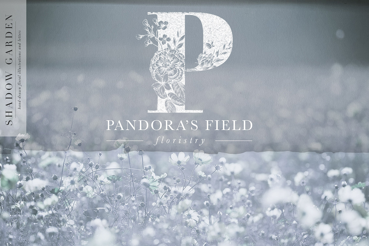 Shadow Garden Botanical Monograms, an Illustration by Eclectic Anthology (Photo 15 of 15)