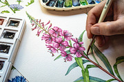 Herbal Apothecary Brand Kit, a Healthcare Illustration by AnitaPol (Thumbnail 2 of 18)