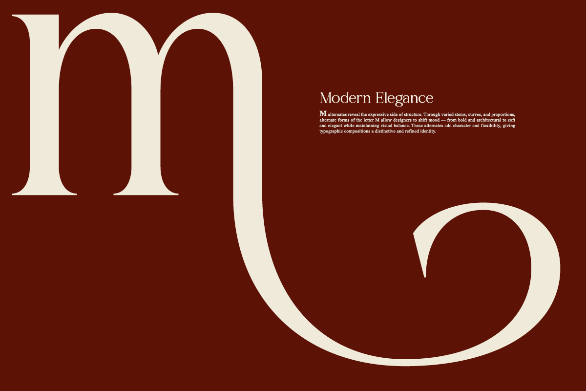 Bela Serfane Elegant Serif Font, a Serif Font by Rasio Studio (Photo 3 of 11)
