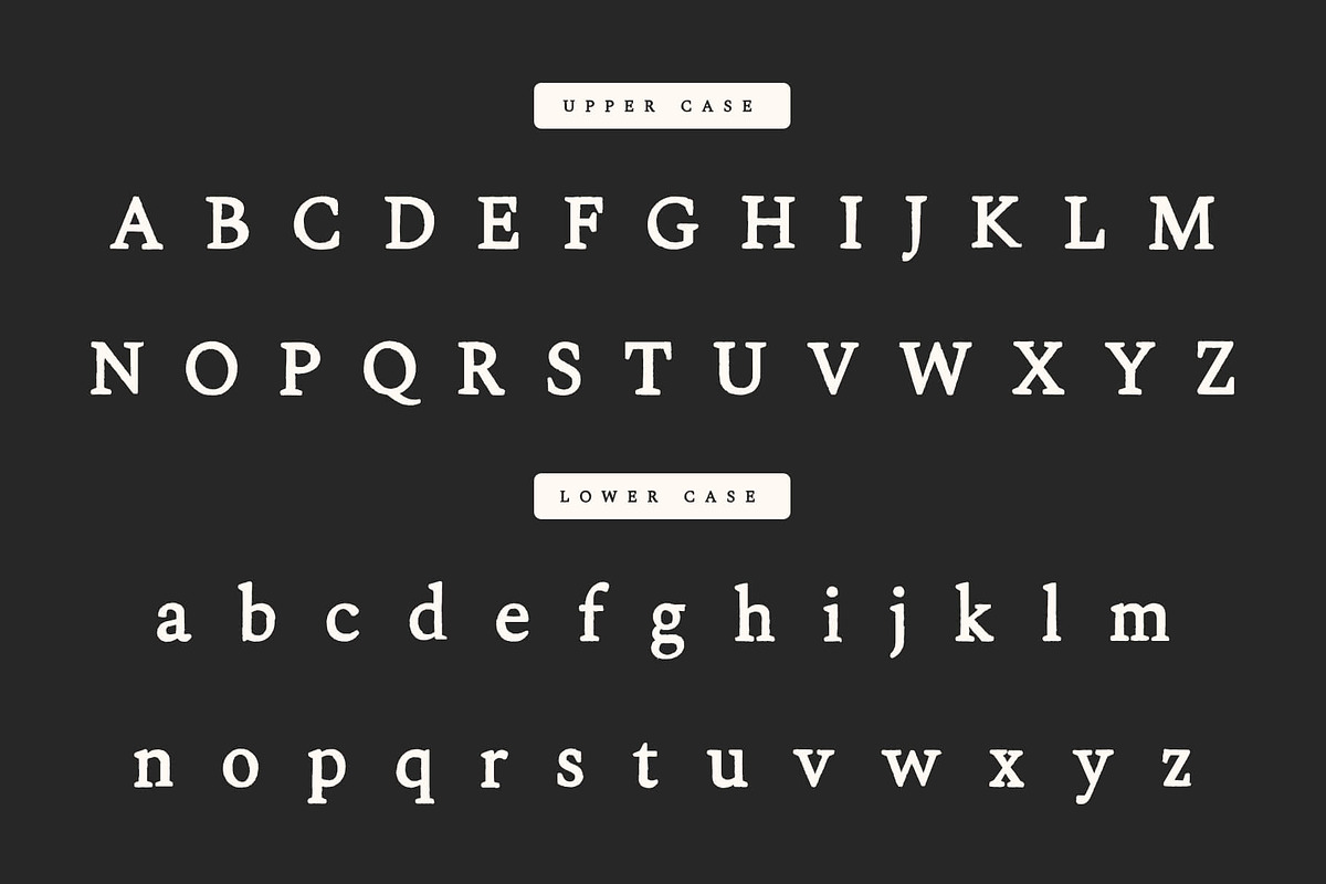 Shine Typewriter Serif Font, a Serif Font by Creativetacos (Photo 6 of 10)