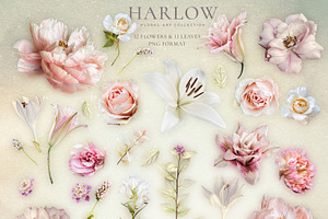 Harlow Floral Art Collection