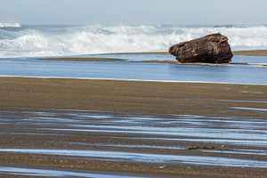 Sandy beach with driftwood log stock photo containing agriculture and beach