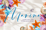 Marine Watercolor Clipart, an Animal Illustration by YarovaArt (Thumbnail 1 of 19)