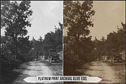 Platinum Palladium Prints LUTs, a Plug-in Add-On by Raztrend (Thumbnail 28 of 32)
