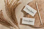Primrose Essentials Font Duo, a Serif Font by Storytype Studio (Thumbnail 6 of 15)