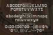 Diazy - Modern Vintage Font, a Serif Font by Salamahtype (Thumbnail 6 of 7)
