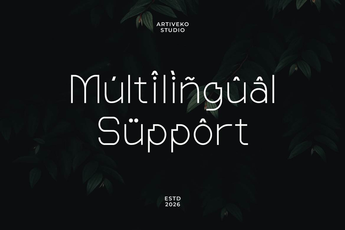 Wonderlast – Creative Display Sans, a Sans Serif Font by Artiveko (Photo 5 of 7)