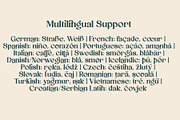 Aexori - Serif Font Family, a Serif Font by NDNL Studio (Thumbnail 10 of 12)