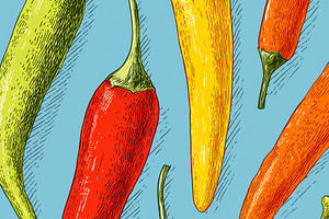 Colorful chili peppers on blue, a Food & Drink Photo by MistyDay