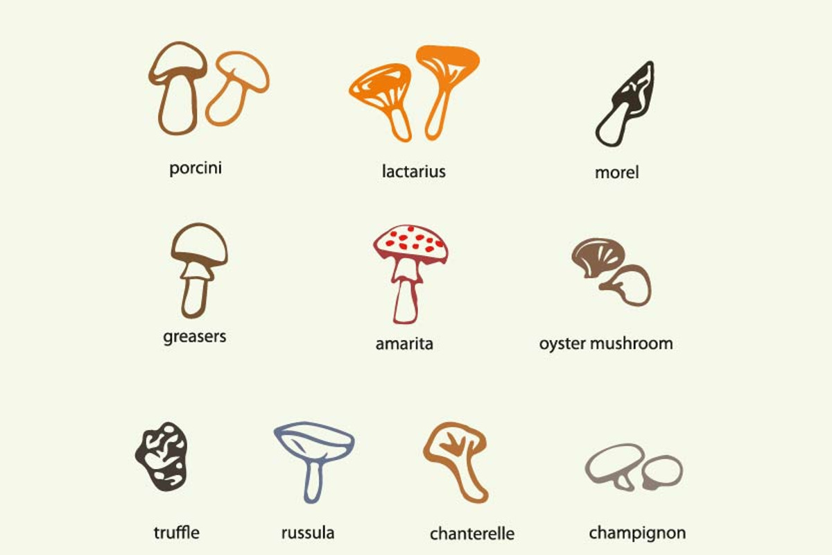 Hand drawn mushrooms clip art set, an Illustration by Svetlana Voloshina (Photo 1 of 3)