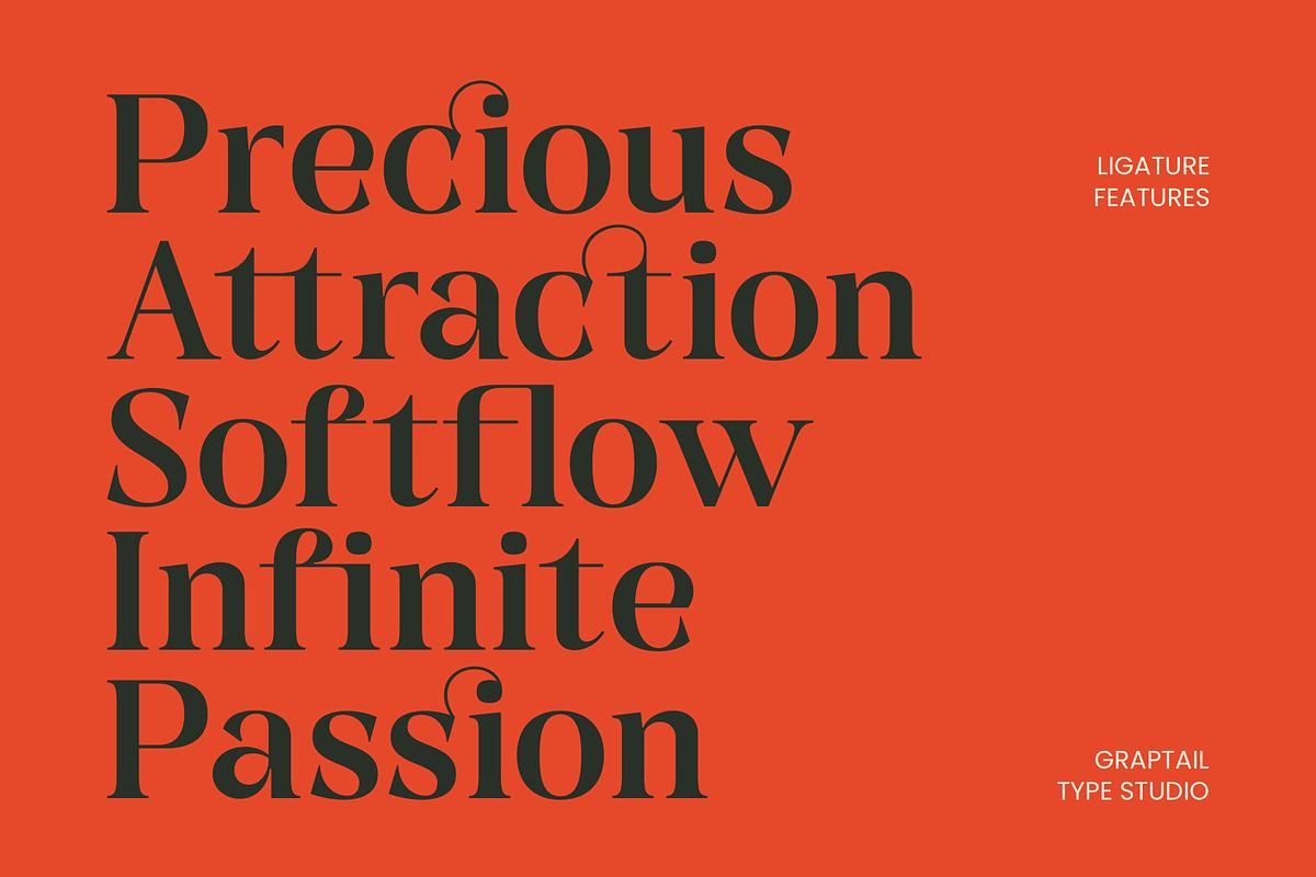 Gts Calira - Romantic Serif Font, a Serif Font by Graptail (Photo 9 of 20)