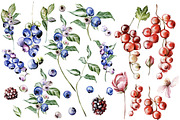 Berries & Flowers Watercolor Element, an Object Graphic by Knopazyzy (Thumbnail 2 of 3)