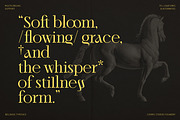 Bellrose Display Serif Font, a Serif Font by CarmineType (Thumbnail 12 of 24)