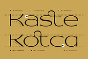 Dawner - Luxury Wide Thin Sans Serif, a Sans Serif Font by Typia Nesia (Thumbnail 11 of 12)
