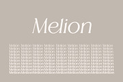 Melion, a Serif Font by OWL KING (Thumbnail 6 of 13)
