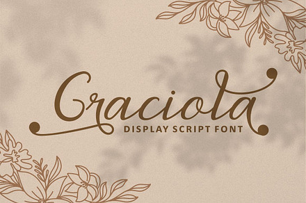 The Doctor Signature, a Script Font by PutraCetol Studio