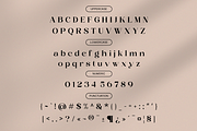 Luxury Ligature Font - Layer Valenas, a Serif Font by Say Studio (Thumbnail 9 of 10)