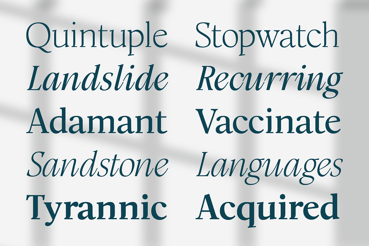 Modest Humanist Serif Family, a Serif Font by xdCreative (Photo 7 of 12)
