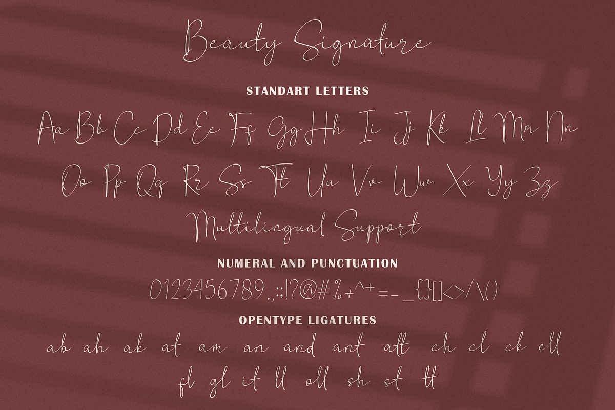 Beauty Signature Script, a Script Font by syabab studio (Photo 9 of 9)