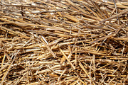 The straw lies on the ground, an Abstract Photo by Schreibikus (Thumbnail 7 of 7)