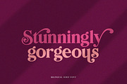 Bilingual Serif Font Duo, a Serif Font by Salt & Pepper Designs (Thumbnail 4 of 13)