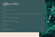 Nandola Typeface, a Script Font by alit design (Thumbnail 14 of 16)