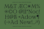 MTC Maglita, A Slab Variable Display, a Slab Serif Font by Martype Co (Thumbnail 2 of 12)