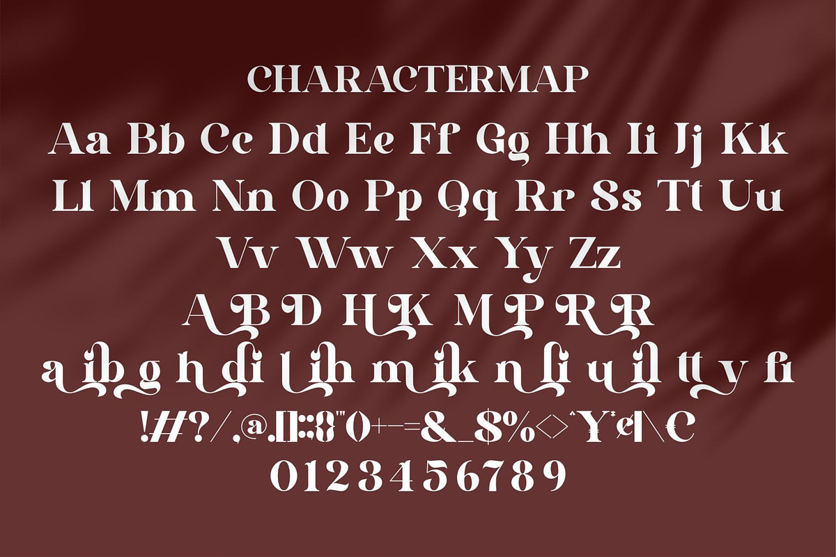 Ribery || Unique Serif Font, a Serif Font by Ermedia Studio (Photo 8 of 10)