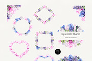 Romantic Hyacinths, an Illustration by Olga Koelsch (Thumbnail 3 of 7)