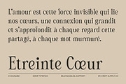 CS Dustine – Elegant Font, a Serif Font by Craft Supply Co. (Thumbnail 4 of 8)