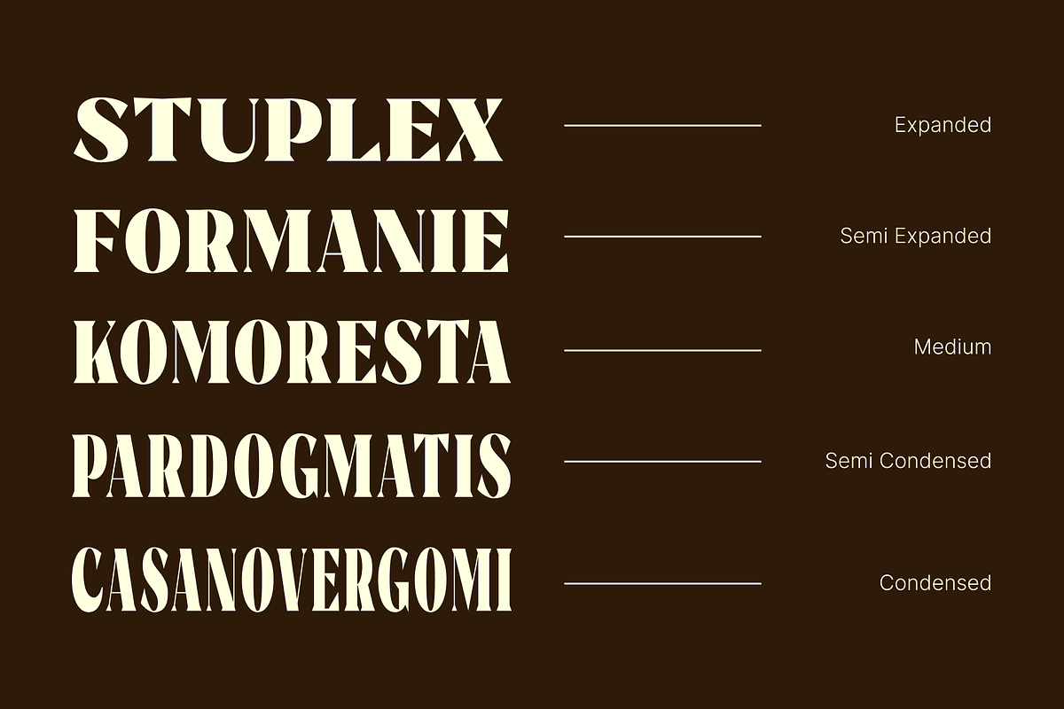 Rigam Complete Family, a Serif Font by Fitrah Type (Photo 4 of 15)