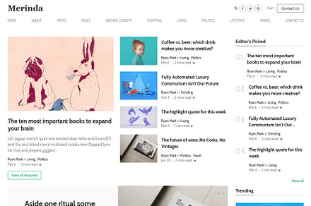 Merinda - WordPress Blog Theme