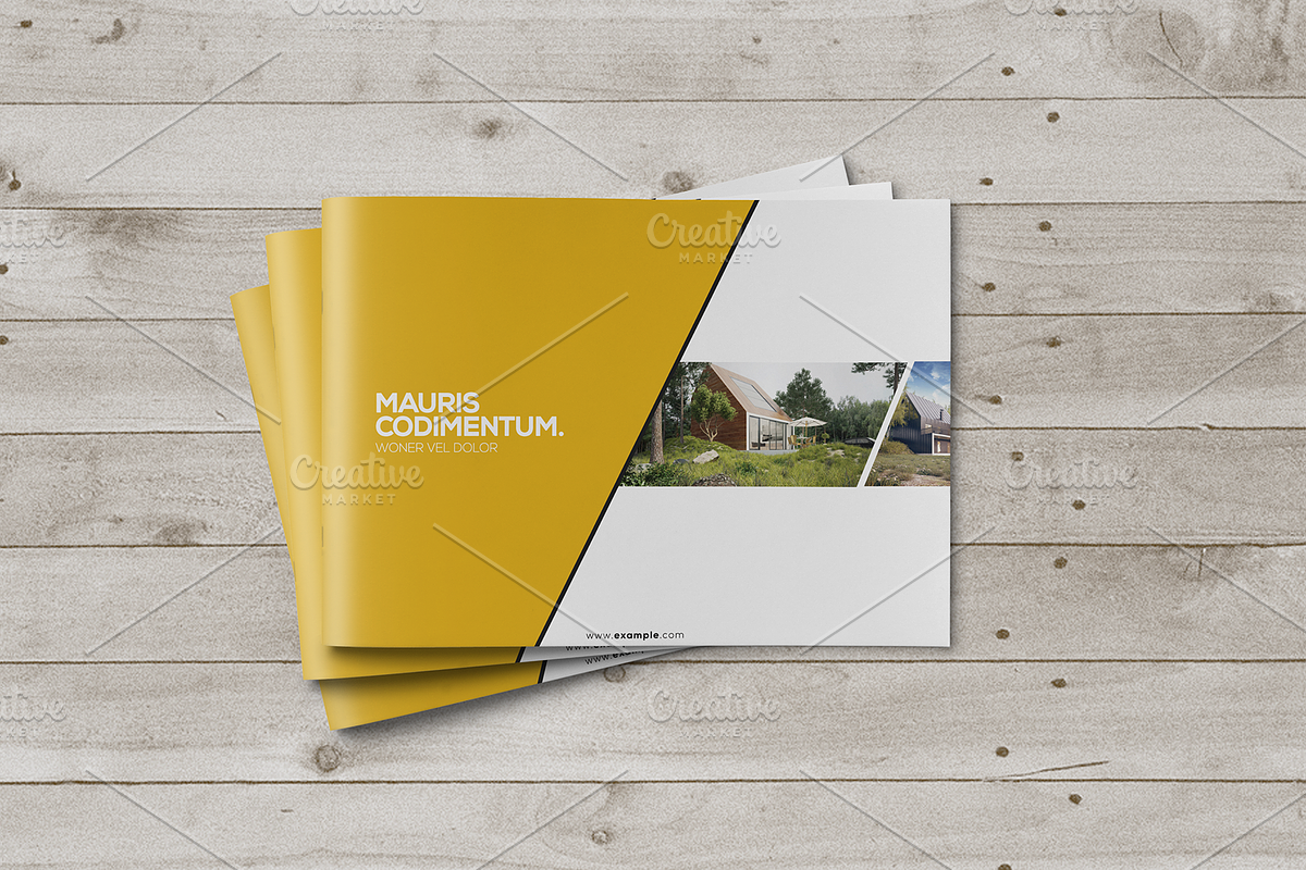 Multipurpose Brochure Template, a Brochure Template by ShapShapy (Photo 4 of 15)
