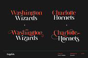 Dalglish Typeface, a Serif Font by Damelev (Thumbnail 10 of 13)