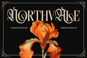 Northvale Blackletter Serif Font, a Blackletter Font by Heinzel Std