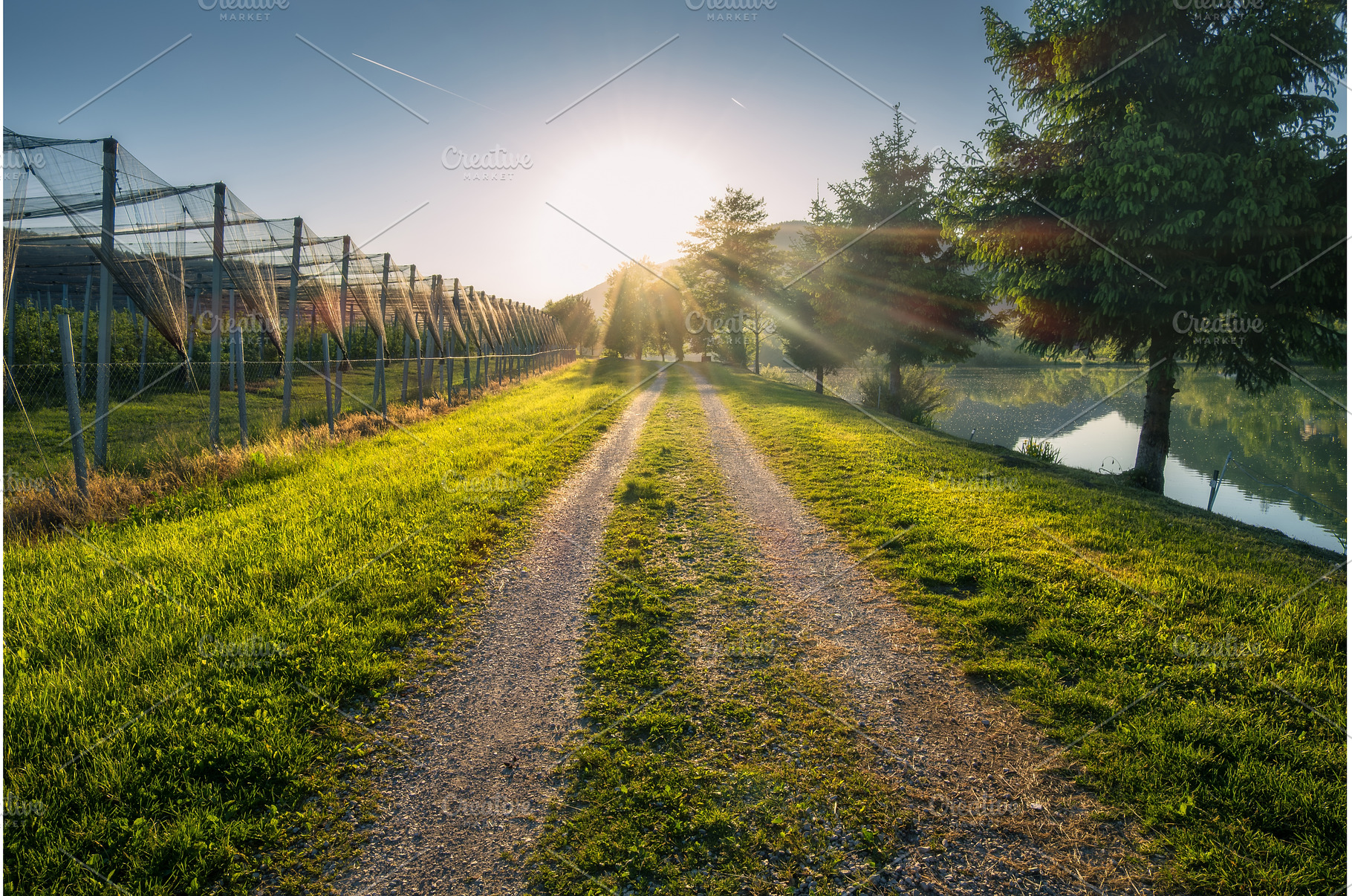 Sun shining over gravel road next to, a Nature Photo by den-belitsky
