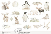 100 polar animal clip art, an Animal Illustration by Poppy Lane Studio (Thumbnail 5 of 12)