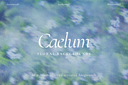 Caelum - Botanical Backgrounds, a Texture Graphic by Watercolor_Ma (Thumbnail 1 of 9)