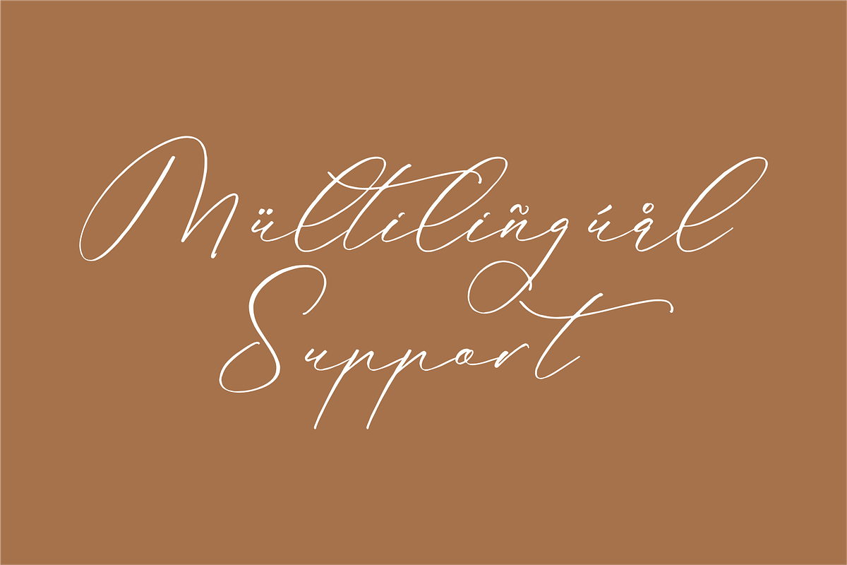 Anticka Whitnes Beauty Script Font, a Script Font by Storytype Studio (Photo 13 of 15)
