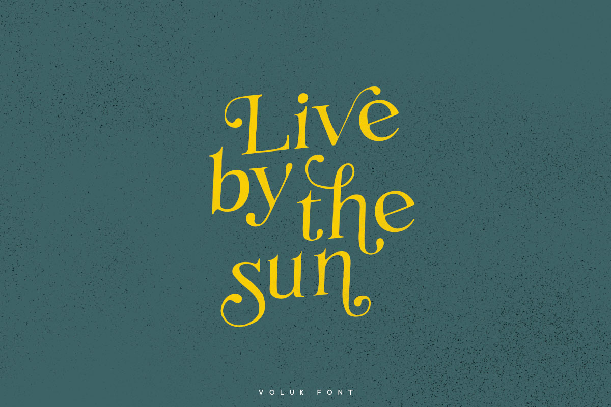 Voluk, a Serif Font by vuuuds (Photo 5 of 7)