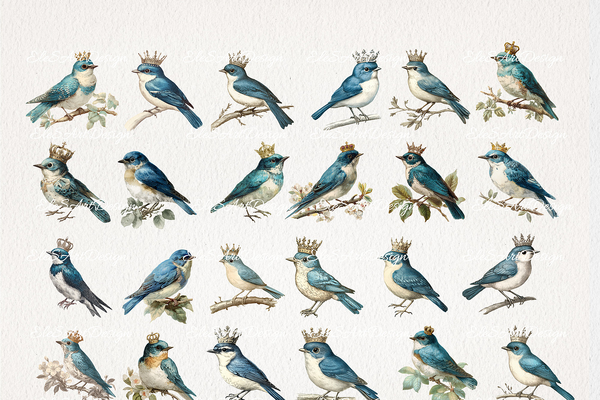 French Bluebirds Clipart 24 PNG, an Animal Illustration by EleSArtDesign (Photo 2 of 4)